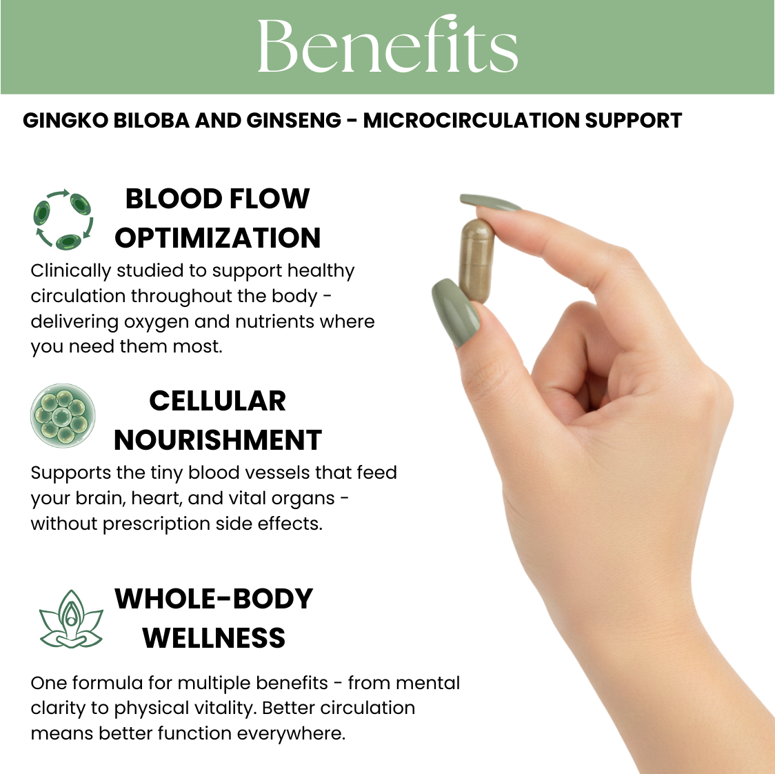 EzRelief+™ Ginkgo Biloba + Ginseng